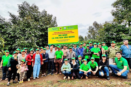 Cà phê Việt Nam trước biến đổi khí hậu: Thách thức và giải pháp thích ứng