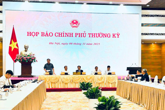 Sàn thương mại điện tử cơ bản không có hàng giả, hàng nhái