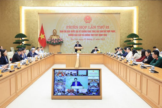 Người đứng đầu phải chịu trách nhiệm trực tiếp nếu để tàu cá vi phạm IUU