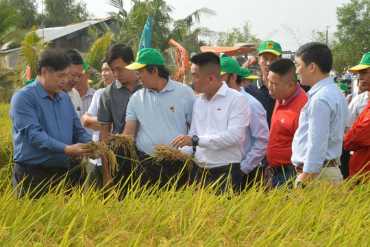 Đảm bảo nguồn tài chính cho sản xuất giảm phát thải lĩnh vực trồng trọt