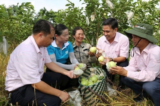 Nghệ An: Vốn tín dụng chính sách “tiếp sức” cho người nghèo