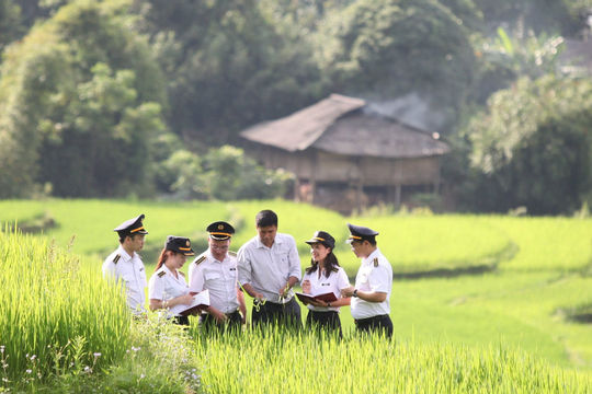 Chuẩn mực kiểm toán nhà nước 2402 - Các yếu tố cần xem xét khi kiểm toán đơn vị có sử dụng dịch vụ bên ngoài trong kiểm toán tài chính 