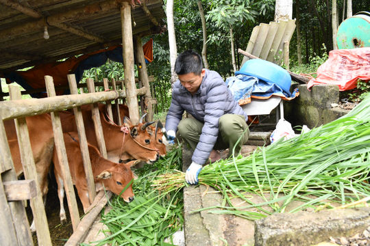 Thái Nguyên: Chuyển mình mạnh mẽ sau 5 năm thực hiện Chương trình mục tiêu quốc gia