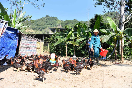 Trao “cần câu”, tạo sinh kế bền vững cho người dân