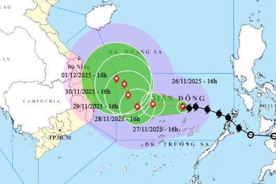 Chủ động phòng, tránh, ứng phó bão số 15
