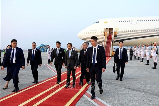 Quốc vương Brunei đến Hà Nội, bắt đầu chuyến thăm cấp Nhà nước tới Việt Nam