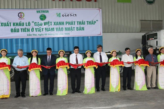 Thu hút hợp tác, nâng tầm giá trị gạo Việt