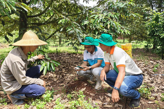 Hợp tác chuyển đổi số trong nông nghiệp giữa PVFCCo - Phú Mỹ và Enfarm