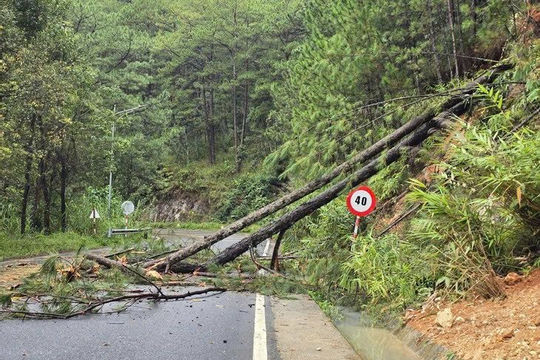 Lâm Đồng: Nhiều tuyến đường đèo tiếp tục bị sạt lở sau trận mưa lớn kéo dài