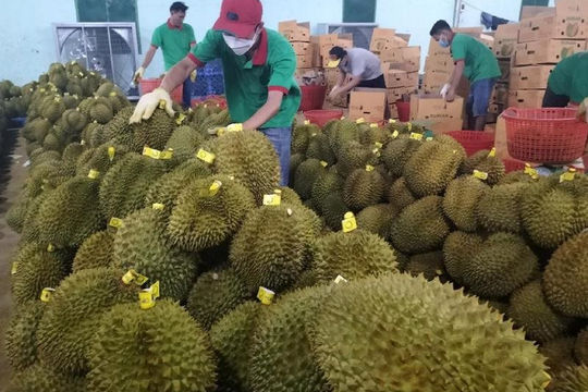 Cải cách thủ tục hành chính để doanh nghiệp tại tỉnh Đắk Lắk hoạt động thuận lợi