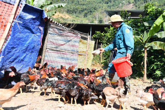 Phú Thọ: Giải ngân các chương trình mục tiêu đạt cao hơn mức bình quân cả nước