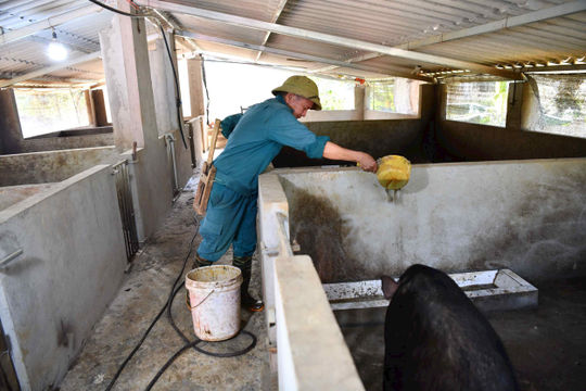 Tạo sinh kế bền vững - nền tảng giúp người dân thoát nghèo