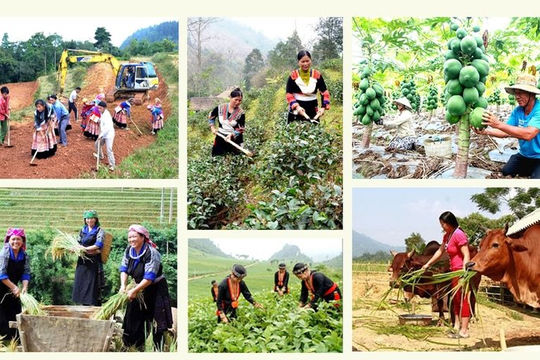 Nhân rộng các mô hình và dự án giảm nghèo hiệu quả