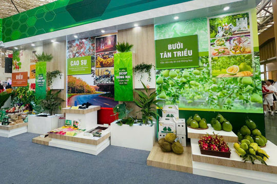 OCOP - Đòn bẩy cho giảm nghèo bền vững