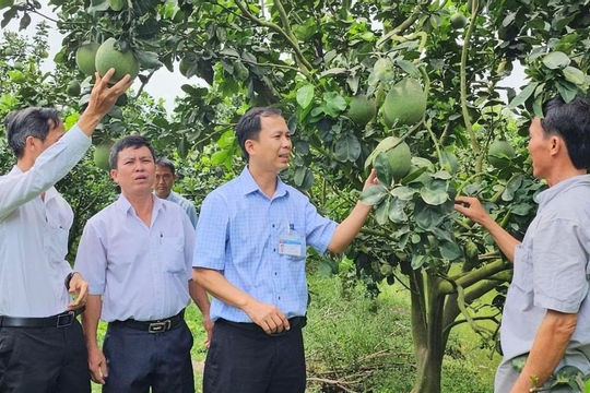 Tây Ninh đặt mục tiêu đến năm 2030 không còn hộ nghèo