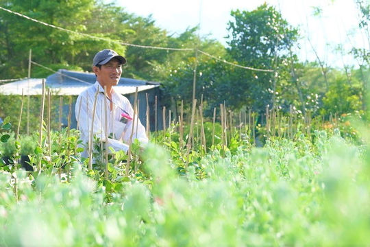 Đồng Tháp đẩy mạnh các giải pháp giảm nghèo bền vững, hướng mục tiêu còn 0,81% hộ nghèo năm 2025