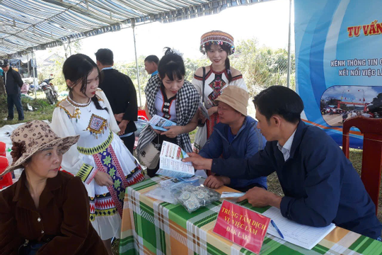 Tập trung phát triển giáo dục nghề nghiệp, hỗ trợ việc làm cho vùng khó khăn