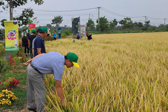 Tạo đột phá trong thu hút nguồn lực công - tư cho phát triển nông nghiệp