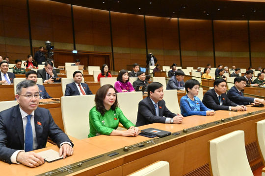 Công tác kiểm toán được triển khai chủ động, góp phần phòng ngừa tham nhũng, lãng phí, tiêu cực