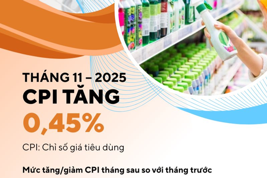 Infographics: Chỉ số giá tiêu dùng tháng 11 tăng 0,45% so với tháng trước