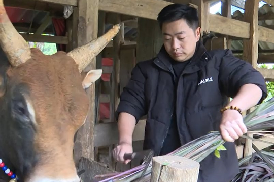 Tạo sinh kế bền vững cho bà con dân tộc thiểu số xã Hà Quảng (Cao Bằng)