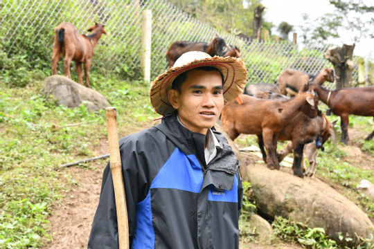 Thái Nguyên: Chương trình mục tiêu quốc gia giảm nghèo bền vững giúp nâng cao chất lượng đời sống người dân xã Trần Phú