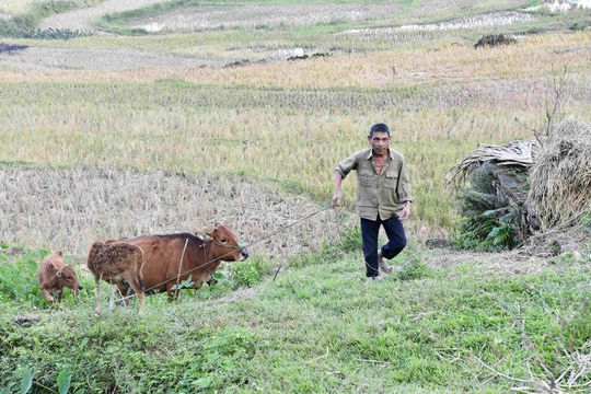 Tháo gỡ điểm nghẽn, nâng cao hiệu quả chương trình giảm nghèo