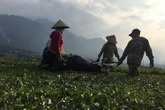 Phú Thọ: Công tác giảm nghèo đạt nhiều kết quả nổi bật 