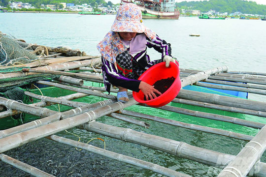 Kịp thời đánh giá, sử dụng hiệu quả nguồn lực giảm nghèo