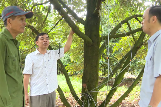 Đồng Nai nhân rộng mô hình nông nghiệp hiệu quả 