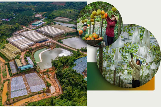 Lâm Đồng: Không “lỡ nhịp” xây dựng nông thôn mới khi sắp xếp bộ máy