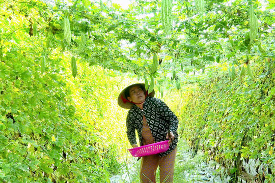 Chương trình giảm nghèo: Hiệu quả từ việc đầu tư có trọng tâm, trọng điểm 