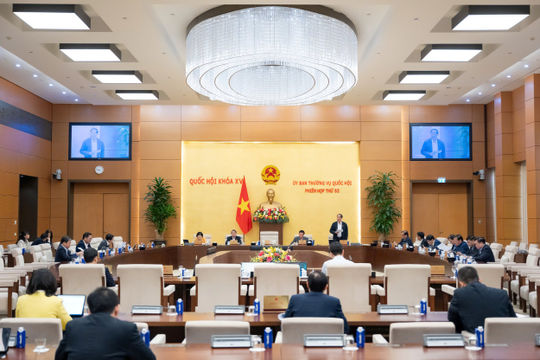 Nâng cao chất lượng dự báo, tập trung nguồn lực khắc phục hậu quả thiên tai