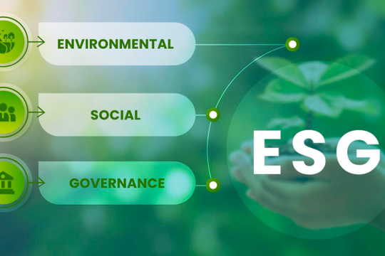 Tích hợp các cam kết ESG với Chiến lược thị trường Carbon: Cơ hội cho doanh nghiệp Việt Nam