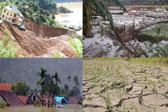 Kiểm toán để ứng phó với rủi ro và thảm họa