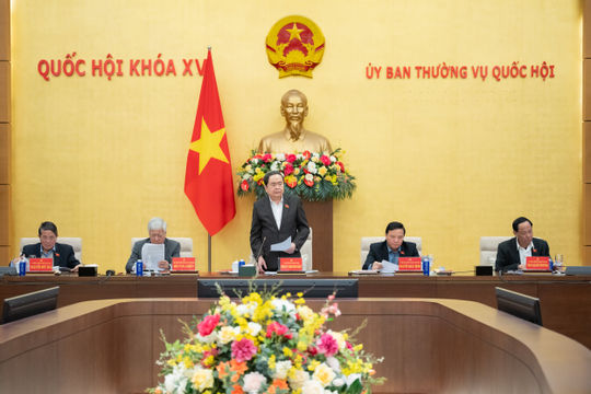 Giới thiệu 145 nhân sự ứng cử làm đại biểu Quốc hội hoạt động chuyên trách khóa XVI ở Trung ương