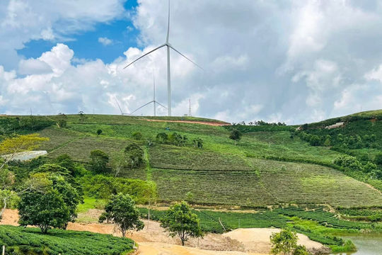 Lâm Đồng: Tháo gỡ điểm nghẽn, thúc đẩy tăng trưởng 