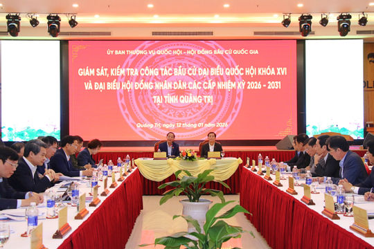 Bảo đảm cuộc bầu cử diễn ra an toàn, dân chủ, đúng pháp luật