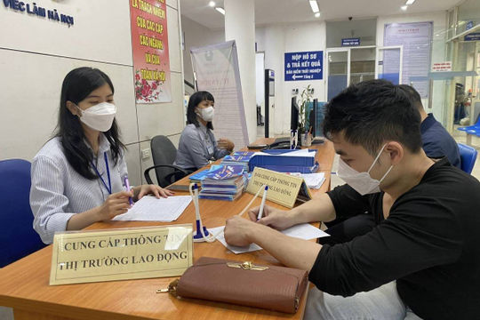 Tập trung đưa sàn giao dịch việc làm quốc gia đi vào hoạt động