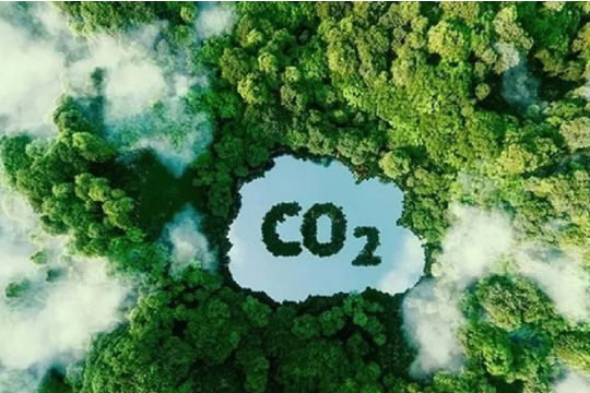 Sàn giao dịch carbon trong nước được quy định ra sao?