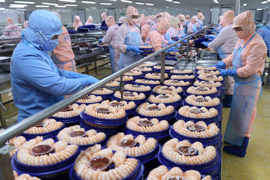 Ngược dòng rào cản, thủy sản cán mốc 11 tỷ USD