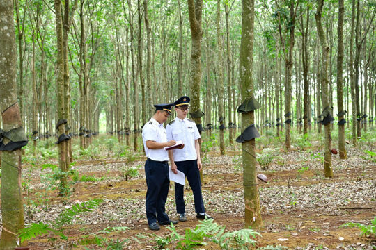 6 tiêu chí quan trọng lựa chọn đơn vị, đầu mối, dự án, chủ đề kiểm toán