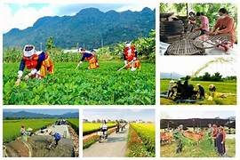 Hai thủ tục mới thuộc chương trình mục tiêu quốc gia