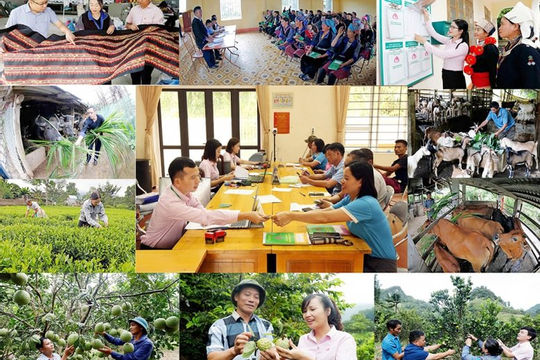 Tuyên Quang: Hơn 11.000 tỷ đồng tín dụng ưu đãi tiếp sức giảm nghèo bền vững