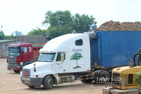 Gỡ vướng quy định về kiểm soát an toàn thực phẩm đối với nông sản nhập khẩu