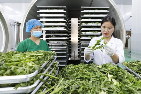 Mở đường cho xuất khẩu hệ sinh thái nông nghiệp