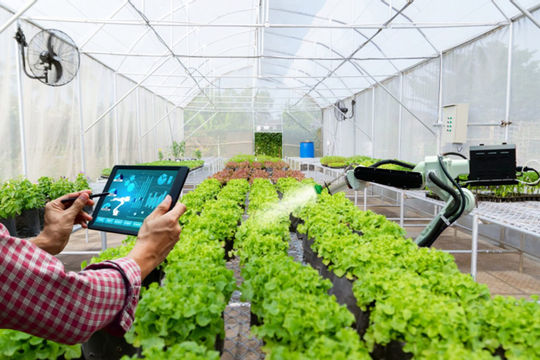 Lấy khoa học - công nghệ làm trụ cột đổi mới mô hình tăng trưởng nông nghiệp