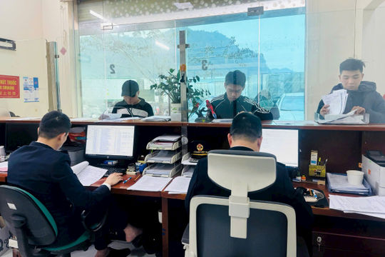 Hải quan ưu tiên thông quan hàng thực phẩm nhập khẩu còn tồn đọng