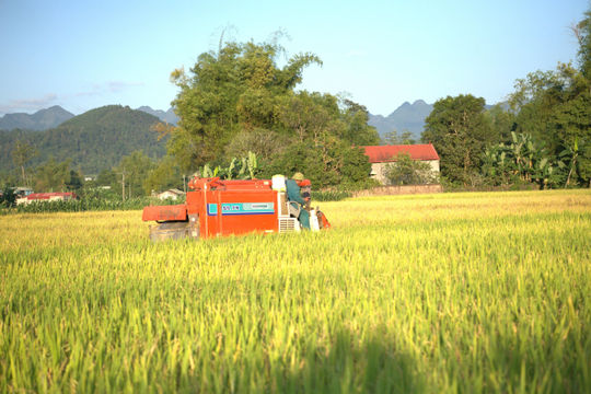 Sản xuất nông, lâm, thủy sản có nhiều chuyển biến