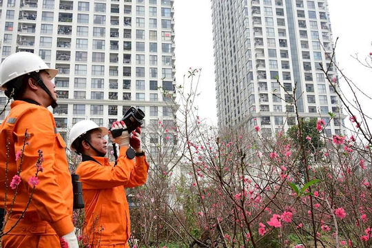 EVN khẩn trương triển khai nhiệm vụ công tác ngay sau kỳ nghỉ Tết Nguyên đán Bính Ngọ 2026 